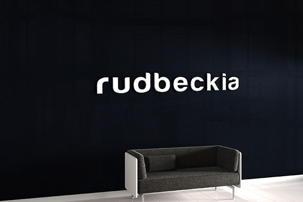 Interior business signs for Rudbeckia
