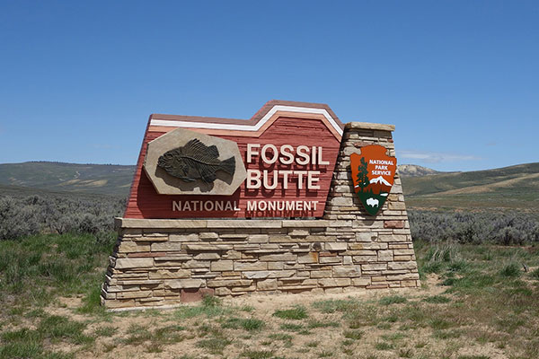 Brick monument signs for Fossil Butte